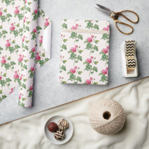 Botanische alte Rosa-Rose Geschenkpapier