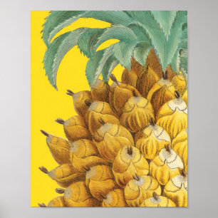Botanische Ananas in Gelb Poster