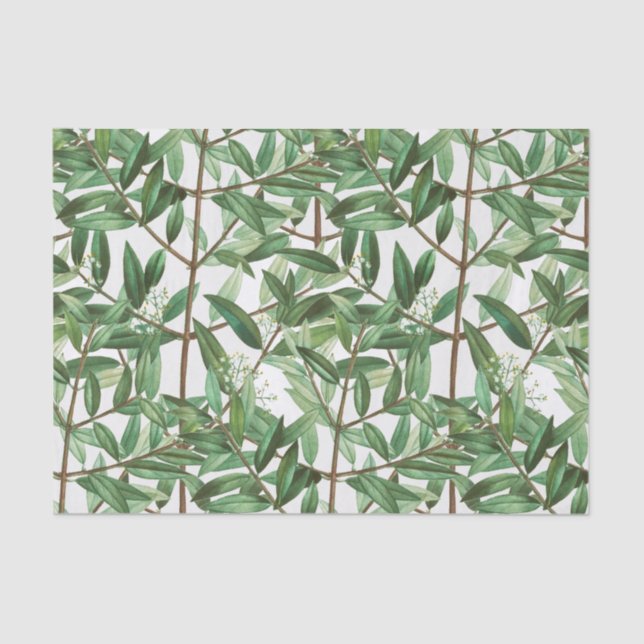 Botanische Aquarellfarbe Seidenpapier (Vorderseite)