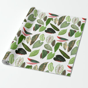 Botanische Aquarellfarben Vintage Grünflächen Blät Geschenkpapier