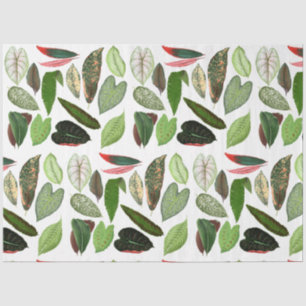 Botanische Aquarellfarben Vintage Grünflächen Blät Seidenpapier