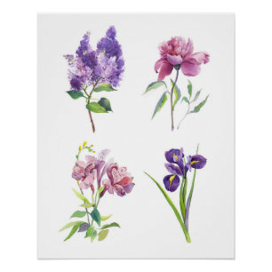 Botanische Aquarellstudien – Flieder, Pfingstrose, Poster