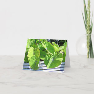 Botanische Blätter Karte