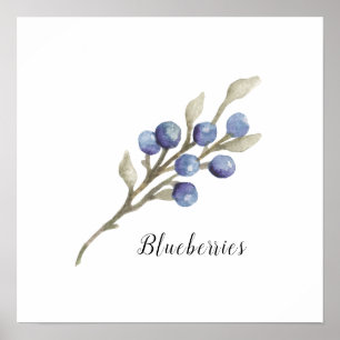 Botanische Blaubeeren Poster