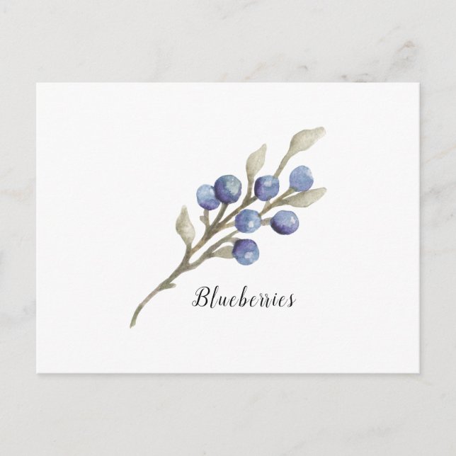 Botanische Blaubeeren Postkarte (Vorderseite)