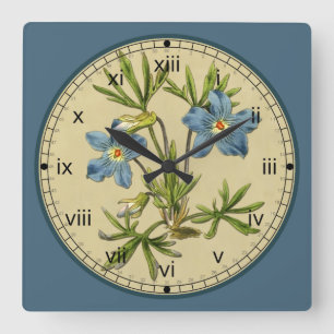 Botanische blaue Blumen-Uhr Curtis in 3 Arten Quadratische Wanduhr