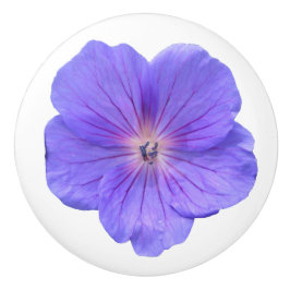 Botanische blaue Pelargonie-Blume auf irgendeiner Keramikknauf