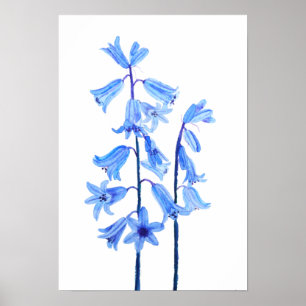 Botanische Bluebells Blume Aquarell Poster