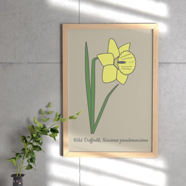 Botanische Blume Daffodil Pastel Poster (Botanical Daffodil Poster)