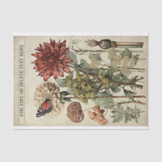 Botanische Blume Illustrationen zum Pergament Nr.  Seidenpapier