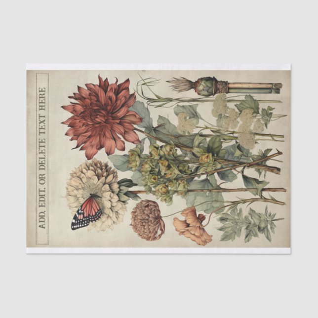 Botanische Blume Illustrationen zum Pergament Nr.  Seidenpapier (Vorderseite)