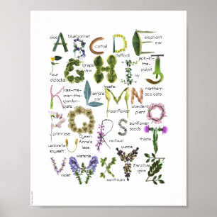Botanische Blumen Alphabet Baby Kinderzimmer Poste Poster