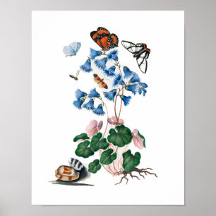 Botanische Blumenplakate Poster
