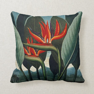 Botanische Blüten Bird Of Paradise Kissen