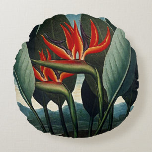 Botanische Blüten Bird Of Paradise Kissen