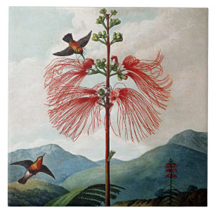 Botanische Blüten blühen sensible Pflanze Keramik Fliese