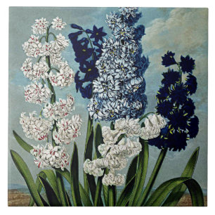 Botanische Blüten Hyazinthen Keramik Fliese