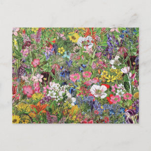 Botanische Blütennatur-Wildblume Feiertagspostkarte