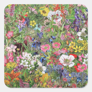 Botanische Blütennatur-Wildblume Quadratischer Aufkleber