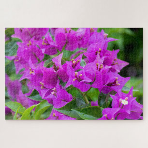 Botanische Bougainvillea Farbenfrohe Blumen Puzzle