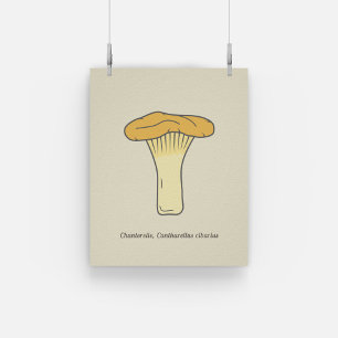 Botanische Chanterelle Mushroom Poster