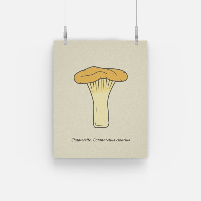 Botanische Chanterelle Mushroom Poster (Botanical Chanterelle Mushroom Poster)