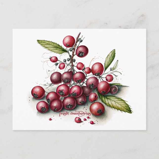 Botanische Cranberries Postkarte (Vorderseite)