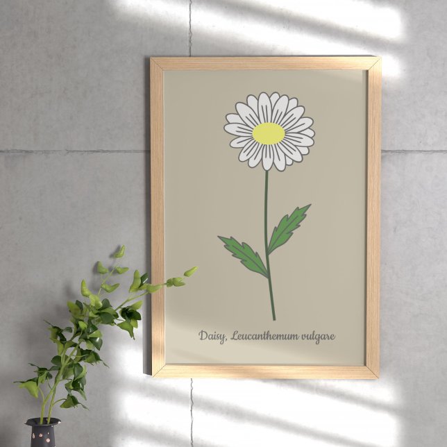 Botanische Daisy Pastel Blume Poster (Botanical Daisy Flower Poster)
