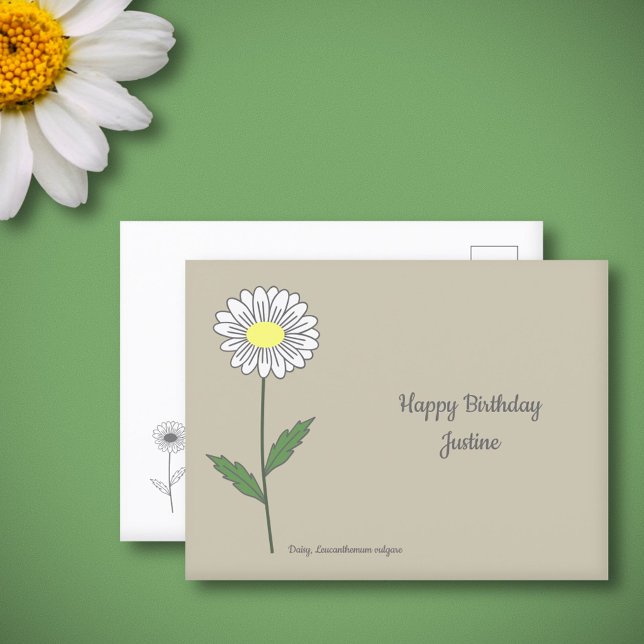 Botanische Daisy Pastel Blume Postkarte (Botanical Daisy Flower Postcard)
