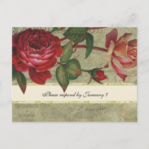 Botanische Französische Rose Vintager Stil UAWG Po Einladungspostkarte