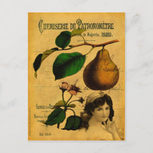 Botanische Frucht Postkarte
