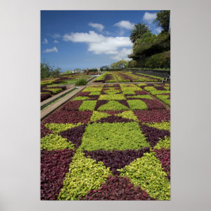 Botanische Gärten, Funchal, Madeira-Inseln, Poster