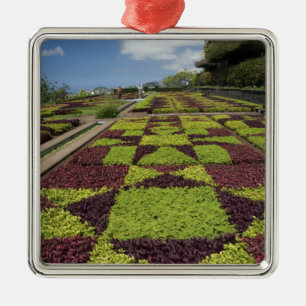 Botanische Gärten, Funchal, Madeira-Inseln, Silbernes Ornament