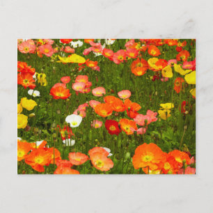 Botanische Gärten Postkarte