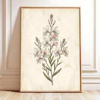Botanische Gaura-Wandkunst Poster
