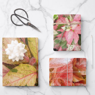 Botanische Geschenkpapier-Blätter Geschenkpapier Set