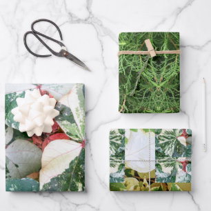 Botanische Geschenkpapier-Blätter Geschenkpapier Set