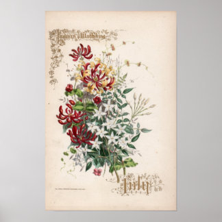 Botanische Gravuren, Juli Poster