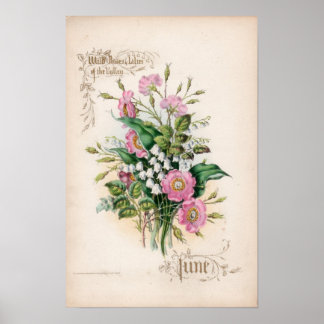 Botanische Gravuren, Juni Poster