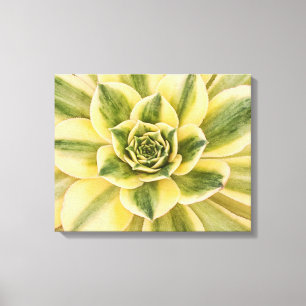 Botanische, grüne saftige Fotografie auf Leinwand