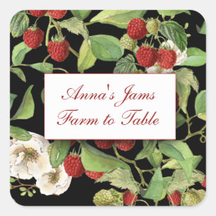 Botanische Himbeeren auf schwarzem Hintergrund Quadratischer Aufkleber