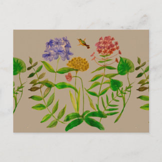 Botanische Illustration auf Postkarte