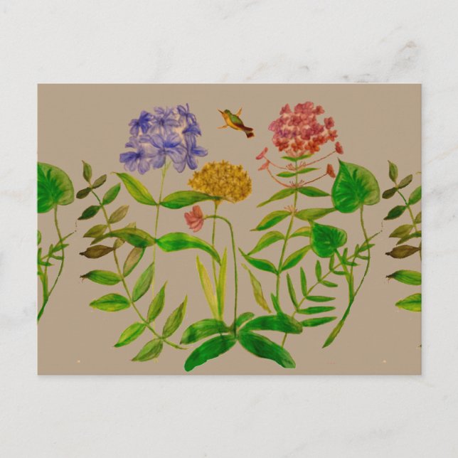 Botanische Illustration auf Postkarte (Vorderseite)