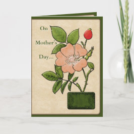 Botanische Illustration der rosafarbenen Rose - Pe Karte