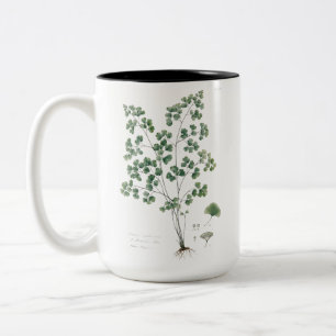 Botanische Illustration des Frauenhaarfarns im Vin Zweifarbige Tasse