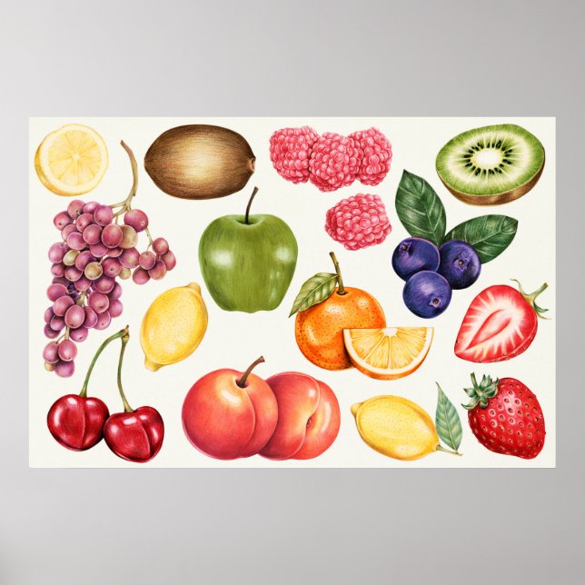 Botanische Illustration Poster (Vorne)