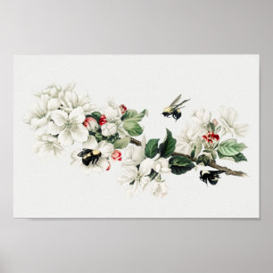 Botanische Illustration Poster