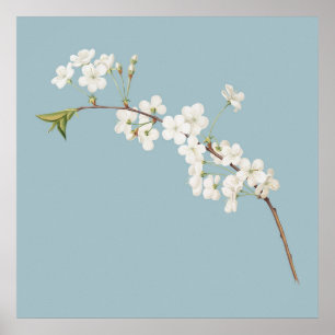 Botanische Illustration Poster