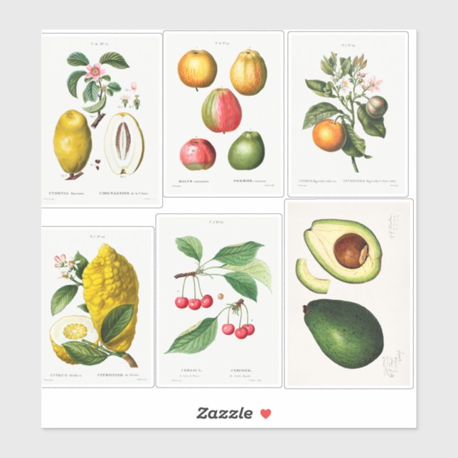 Botanische Illustrationen Aufkleber (Blatt)