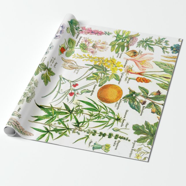 Botanische Illustrationen Geschenkpapier (Ungerollt)